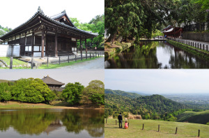 5月 ベンツで奈良と和歌山までドライブ.2